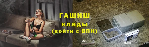 гашик Алексин