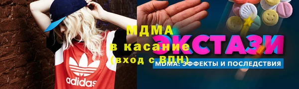 гашик Алексин