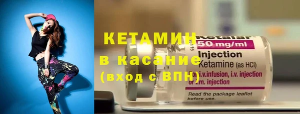 гашик Алексин