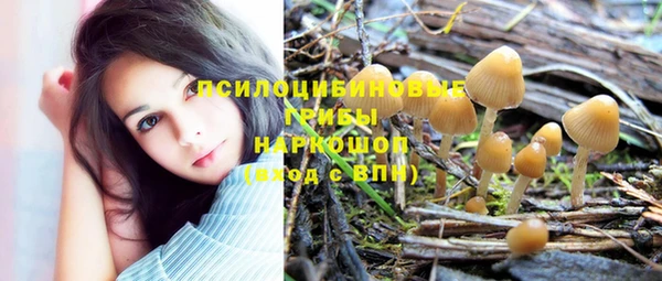 шишки Алзамай