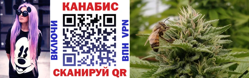 Бошки марихуана план  где найти наркотики  Болотное 